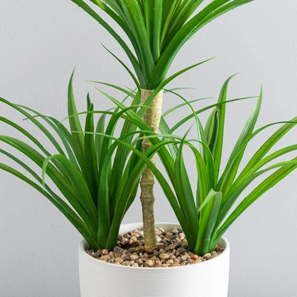 Artificial Yucca Plant In White Ceramic Plant Pot - Image 2