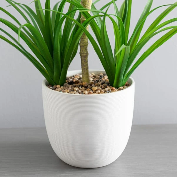 Artificial Yucca Plant In White Ceramic Plant Pot - Image 3
