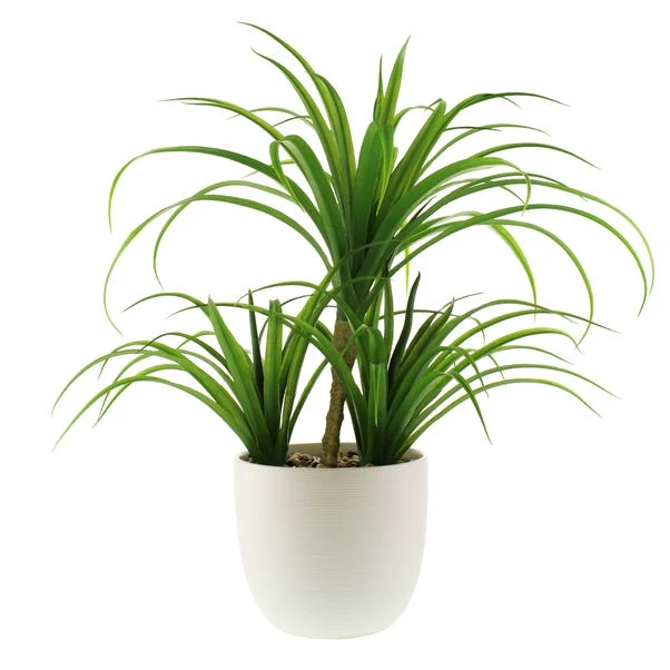 Artificial Yucca Plant In White Ceramic Plant Pot - Image 5