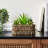 Artificial Succulents In Woven Plant Pot