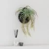 Artificial Hanging Grass In Black Hanging Wall Basket