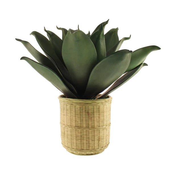 Artificial Agave In Bamboo Plant Pot - Image 5