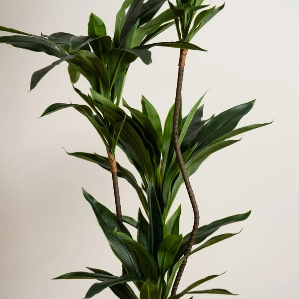 Artificial Real Touch Dracaena In Black Plant Pot - Image 2