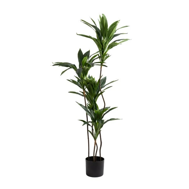 Artificial Real Touch Dracaena In Black Plant Pot - Image 3