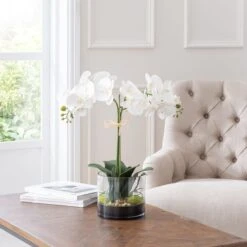 Dorma Artificial Cream Orchid In Glass Plant Pot