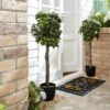Set Of 2 Artificial Bay Tree Plants In Black Pots