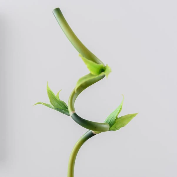 Artificial Lucky Bamboo Stem - Image 11