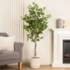 Artificial Ficus Tree In Cream Ribbed Cement Plant Pot