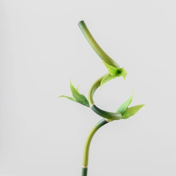Artificial Lucky Bamboo Stem - Image 3