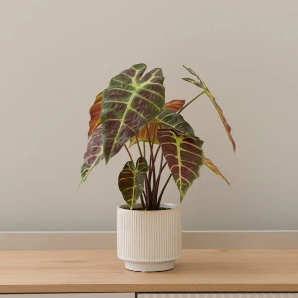 Artificial Alocasia In Ribbed Cream Ceramic Plant Pot - Image 4