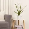 Artificial White Mini Cymbidium Orchid In White Ceramic Plant Pot