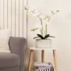 Artificial White Phalaenopsis Orchid In Oval Ceramic Plant Pot