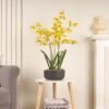 Artificial Yellow Dancing Orchid In Black Ceramic Plant Pot