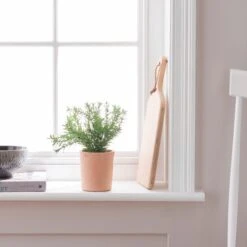 Artificial Thyme In Orange Cement Plant Pot