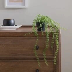 Artificial Trailing Ficus Pumila Plant In Black Plant Pot