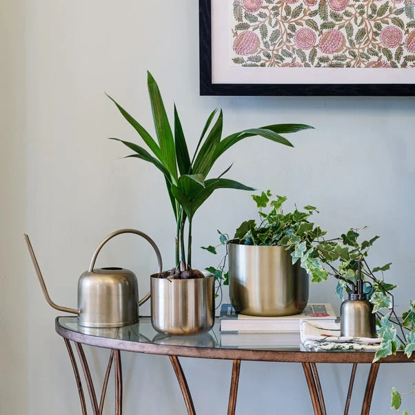 Kew Matt Brass Plant Mister - Image 3