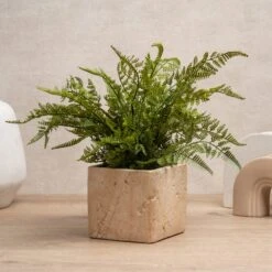 Artificial Fern In Cement Plant Pot