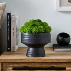 Artificial Moss In Black Footed Plant Pot