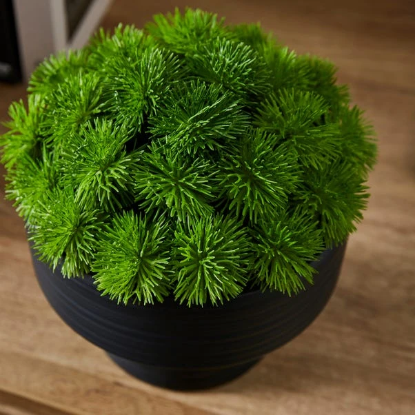 Artificial Moss In Black Footed Plant Pot - Image 2