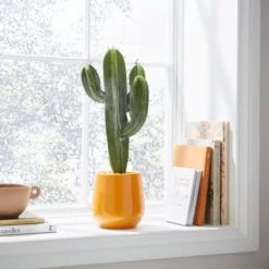 Sunbeam Artificial Cactus In Ceramic Plant Pot