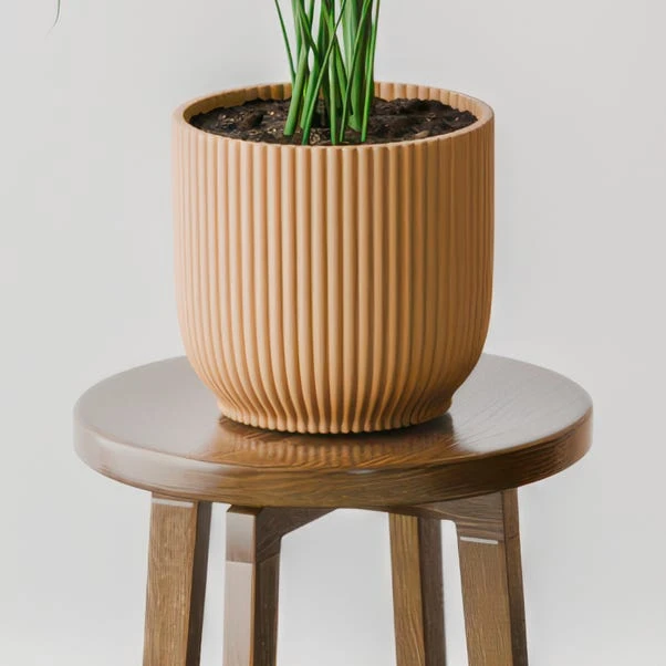 Kentia Palm House Plant In Elho Pot - Image 15