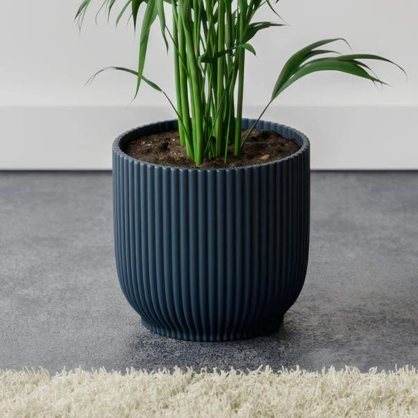Kentia Palm House Plant In Elho Pot - Image 7