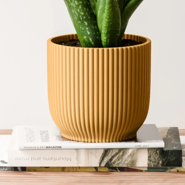 Aloe Vera House Plant In Elho Vibes Pot - Image 3